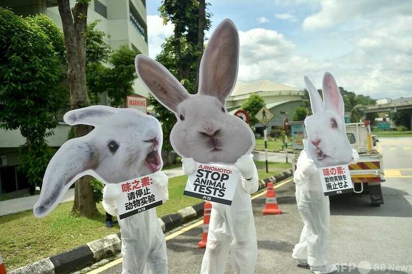 「味の素、動物実験廃止せよ」 愛護団体、マレーシアで抗議