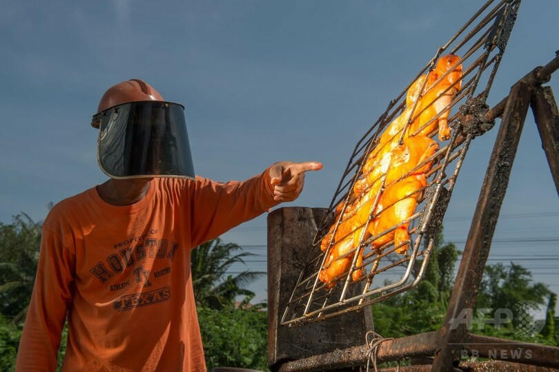 鏡1000枚であぶり焼き鳥、タイ屋台のソーラークッキングが話題