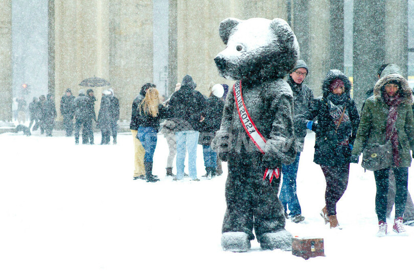 「雪色」に染まる黒色のクマ、ベルリンに現る