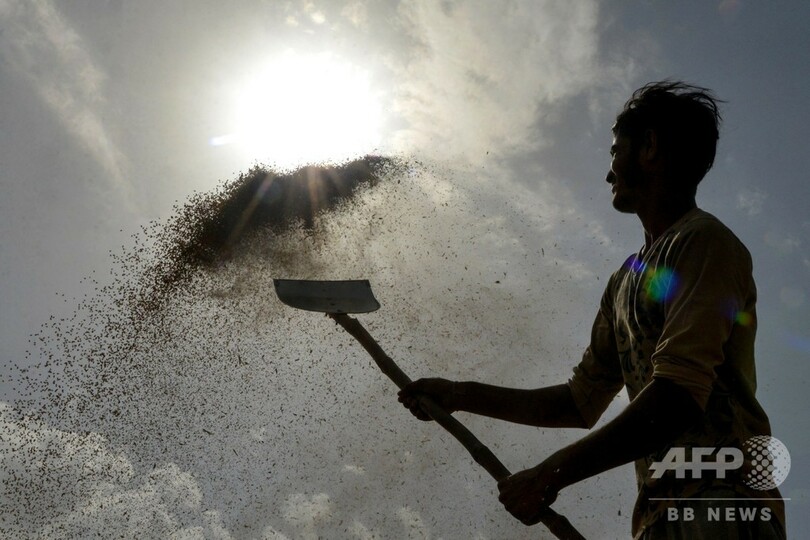  新型コロナに続き「世界的食料危機」の恐れ、国連とWTOが警告