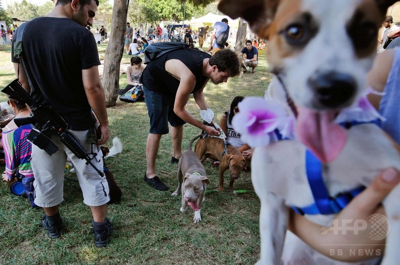 犬に優しい世界トップクラスの街 でイベント イスラエル 写真10枚 国際ニュース Afpbb News