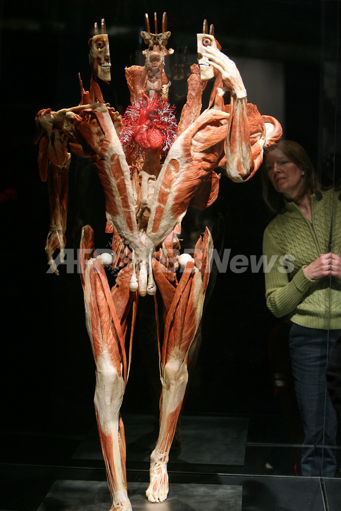 ペア・フィギュアスケーターの実物人体標本が登場!? 「人体の世界」LA