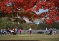 米ワシントンD.C.（Washington D.C.）にある国立公園ナショナル・モール（National Mall）の紅葉（2012年10月18日撮影）。(c)AFP/Getty Images/Mark Wilson