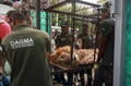 コロンビア環境保護当局によって西部カリの動物園に移送された、衰弱した20歳の雄ライオン「ジュピター」。カリ市長室提供（2020年2月27日撮影）。(c)AFP PHOTO / CALI MAYOR&apos;S OFFICE / GUILLERMO GUTIERREZ