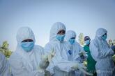 エボラ死者3000人超に、コンゴ民主共和国 過去最悪の流行