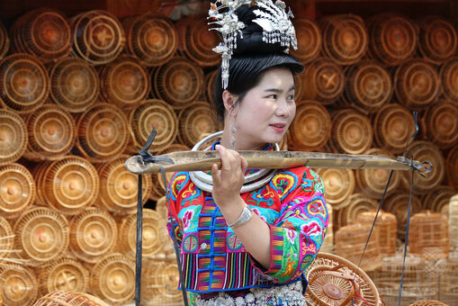 雲南省小鳥籠 雲南省小鳥籠 雲南省小鳥籠 Amazon.co.jp: 鳥かご/鳥籠 伝統的