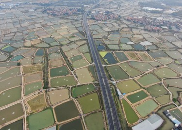 世界かんがい施設遺産の「桑園囲」 広東省仏山市 写真6枚 国際ニュース