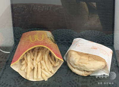マクドナルドは絶対腐らない 10年前購入のハンバーガーをライブ配信 アイスランド 写真2枚 国際ニュース Afpbb News