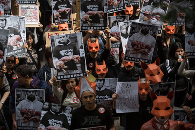 米・サンフランシスコ、毛皮販売禁止へ