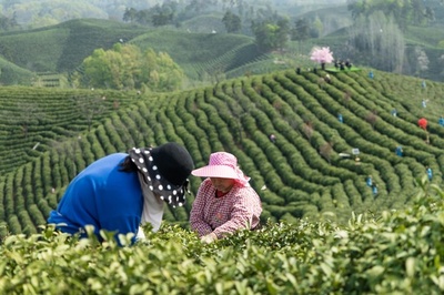 「新旧の共存」が消費の新たな原動力に