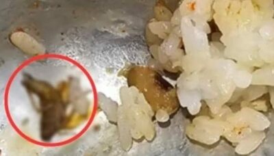 ソウル有名フードコートの料理に「黒い生き物」…抗議にも店長「よくあること」開き直り