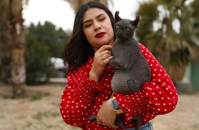 犯罪集団のタトゥー入ったネコ救出 メキシコ