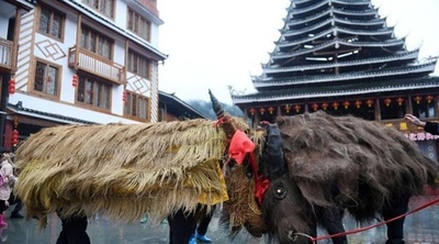 新年の豊作祈る中国の「わら牛パレード」
