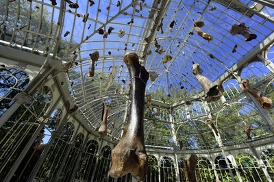 水晶宮殿にインスタレーション、ベトナム生まれのヤン・ボー氏