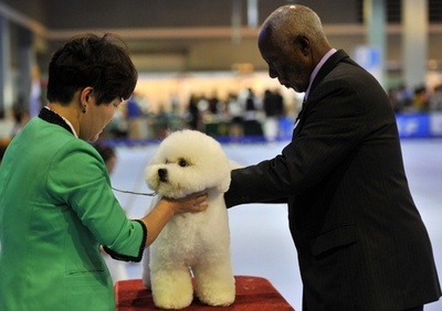 「ソウルFCI国際ドッグショー」開催