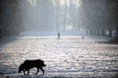 冬の嵐に見舞われたブルガリア