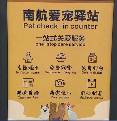 「ペットに優しい」サービスのアップグレード　「ペット経済」が航空会社の新たな競争分野に=中国