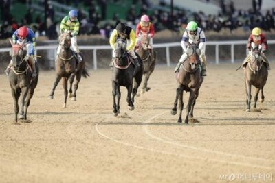 韓国「オンライン馬券」発売に拍車…低迷する競馬産業、活性化に期待