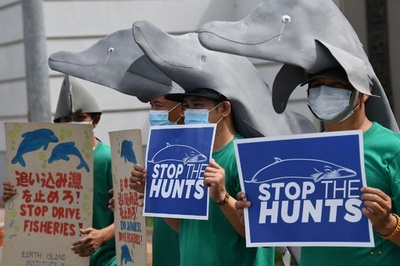太地町のイルカ追い込み漁に抗議 フィリピン