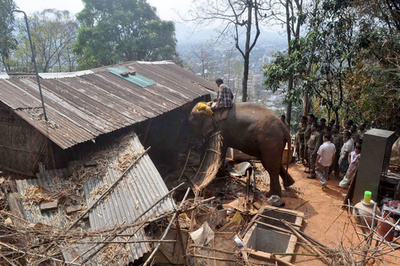 ゾウをブルドーザー代わりに活用、インド