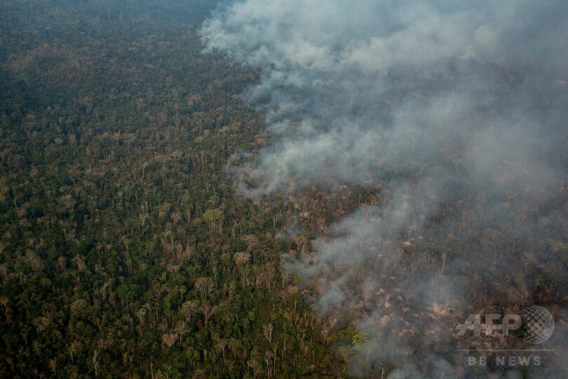アマゾンで大森林火災、2か月延焼 違法伐採業者が放火か