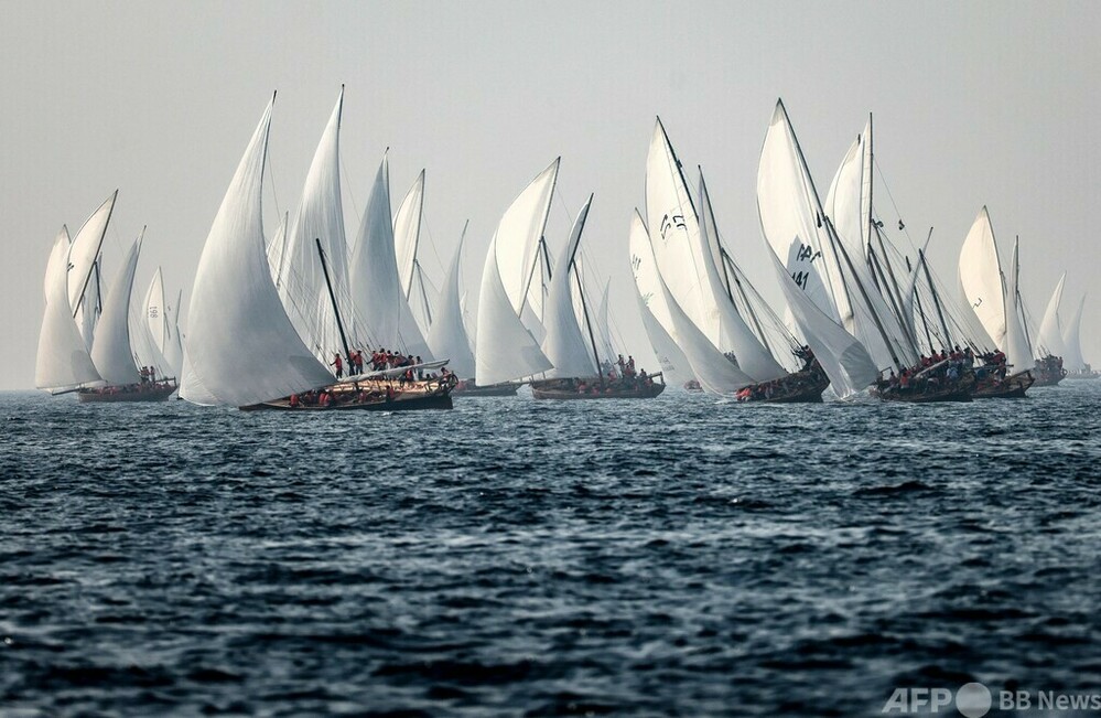 今日の1枚】伝統の木造帆船で長距離レース 写真4枚 国際ニュース