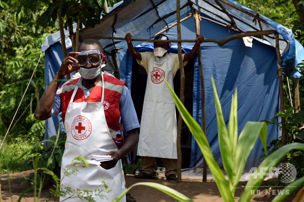 img_931919540335743fe699a25791