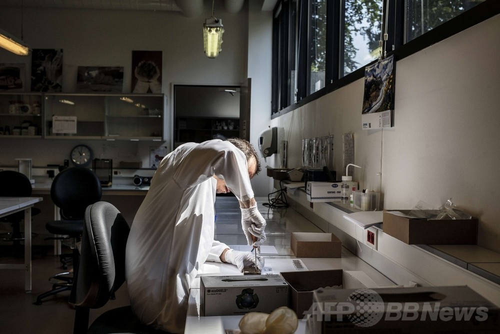科学捜査の現場、仏国立科学警察研究所 写真19枚 国際ニュース:AFPBB News