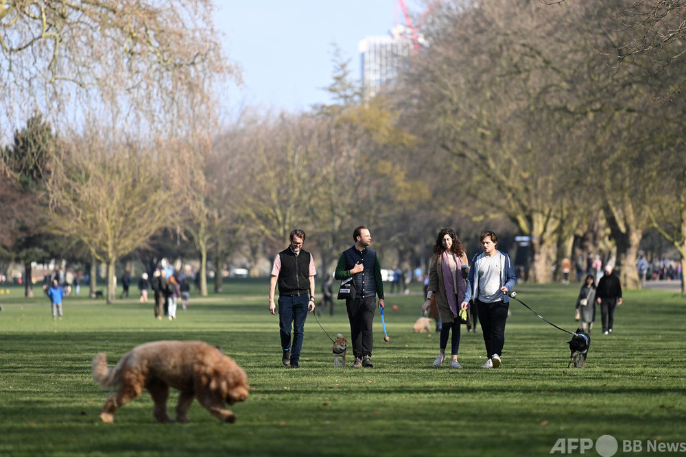 英国 ペット誘拐罪 新設へ コロナ禍で盗難被害多発 写真3枚 国際ニュース Afpbb News