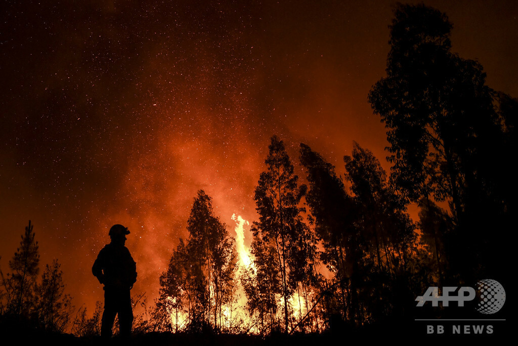 ポルトガル中部で山火事 消防隊員1700人が消火活動 写真10枚 マリ クレール スタイル ムッシュ Marie Claire Style Monsieur