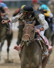 米国競馬のG1レース、第135回ケンタッキーダービー（%%135th Kentucky Derby%%、3歳、ダート10ハロン）がチャーチルダウンズ競馬場（Churchill Downs）で開催され、キャルヴィン・ボレル（%%Calvin Borel%%）騎手騎乗のマインザットバード（Mine That Bird）が、2着以下に6と3/4馬身差以上をつけて優勝した。写真はレースをトップでフィニッシュするボレル騎手とマインザットバード。（2009年5月2日撮影）(c)AFP/Getty Images/Matthew Stockman