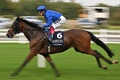 競馬、ブリティッシュ・チャンピオンズデー。ロングディタンスカップでトローラーマンに騎乗するフランキー・デットーリ騎手（2023年10月21日撮影）。(c)Glyn KIRK / AFP