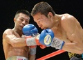 ボクシング、WBA世界スーパーフェザー級タイトルマッチ12回戦。金子大樹（Daiki Kaneko、右）と対戦する内山高志（Takashi Uchiyama、2013年12月31日撮影）。(c)AFP/Toru YAMANAKA
