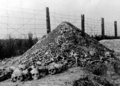 1944年にソ連軍により解放された、アウシュビッツに次ぐ規模のポーランド・ルブリン郊外にあるマイダネク強制収容所で見つかった人骨と頭蓋骨の山。(c)AFP