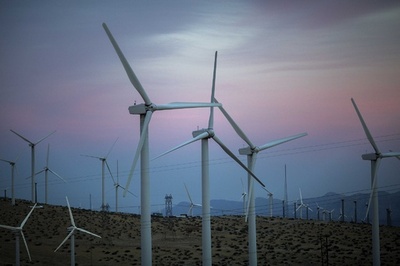 生態系を乱す風力発電所の「天敵」効果、国際研究