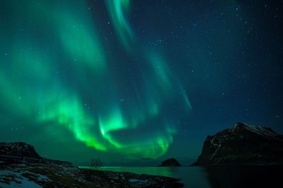 【AFP記者コラム】中毒者たち