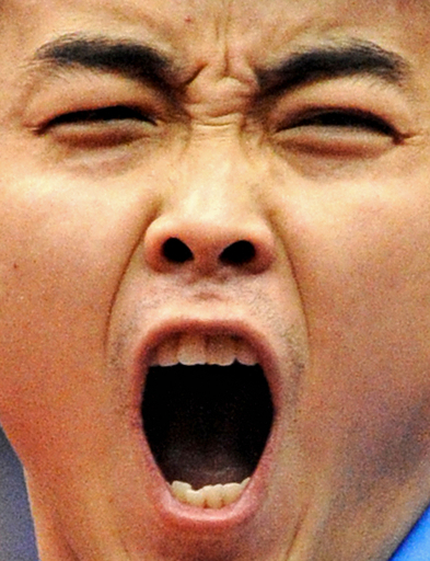 王皓が男子シングルス優勝、世界卓球