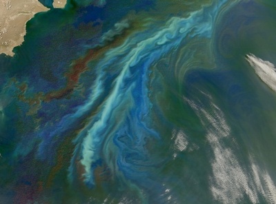 カナダ太平洋岸に鉄120トン散布、小村の「海洋肥沃化」実験が物議