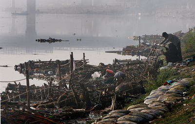 インドの聖なる川、汚染で生態系が危機に