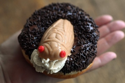 17年ぶり大発生で商売繁盛？ 米東海岸でセミにちなんだメニュー登場