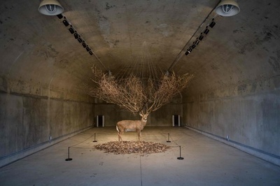 非武装地帯の米軍基地跡地にアート、観光客誘致に力 韓国