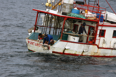 コスタリカで12日から国際漁業者フォーラム、混獲の解決策について協議
