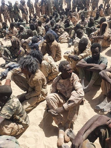 チャド軍、反政府勢力300人殺害と発表