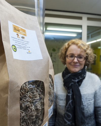 成功の秘訣は「昆虫」、フランス北東部のパスタ工房