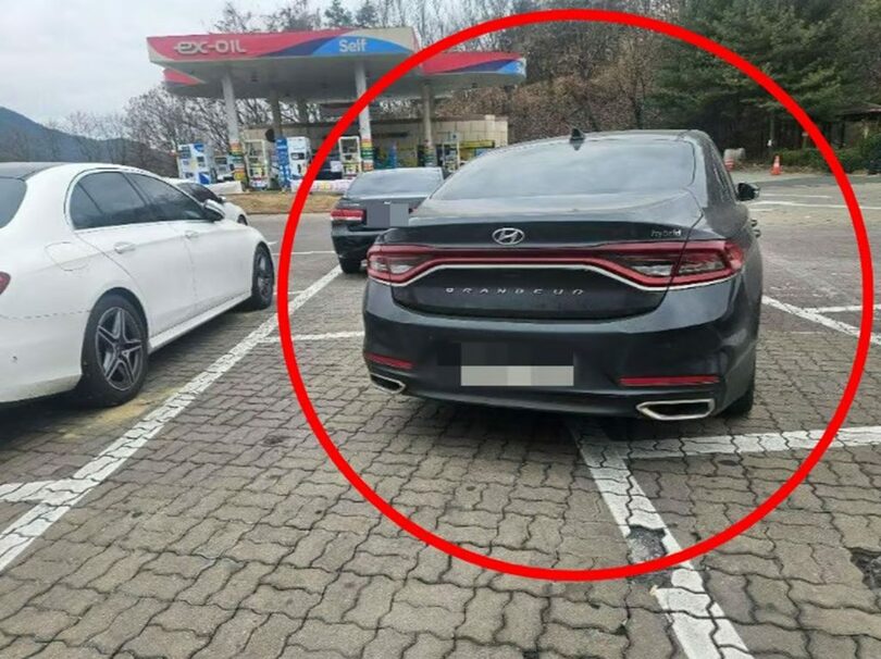 ボベドリーム(c)MONEYTODAY