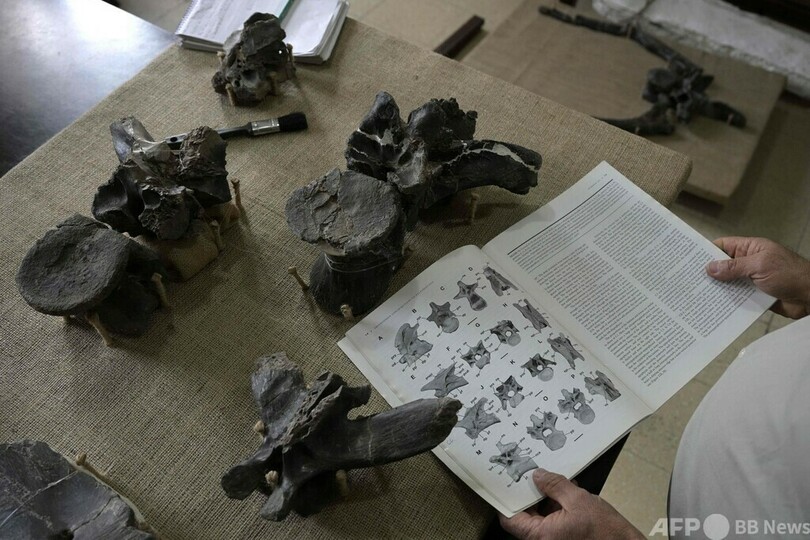 新種の肉食恐竜の化石発見 「悪霊」と命名 アルゼンチン