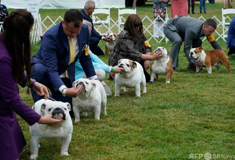 【今日の1枚】そっくりさん勢ぞろい