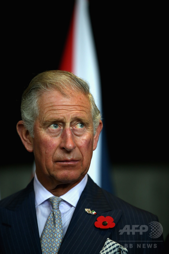 チャールズ皇太子、「意見を述べる」王となる方針か 英報道 写真1枚 国際ニュース：AFPBB News