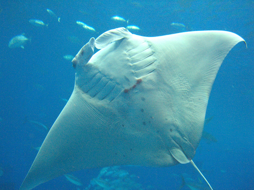 img_9453ab6ef4f3db0fdaf5aacf15