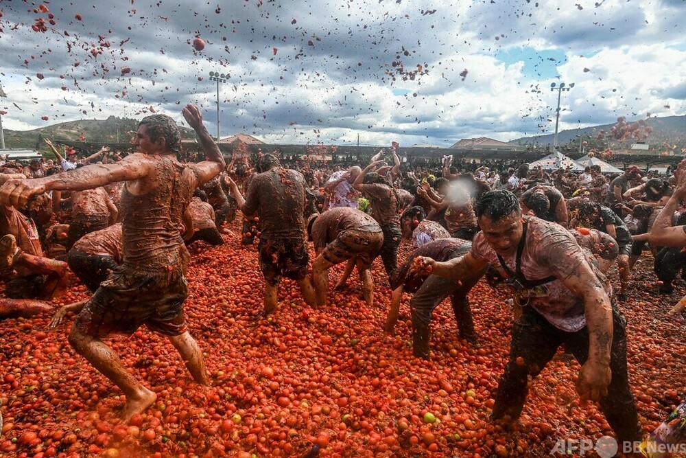 ★トマト祭★ 大人も子どもも真っ赤！ トマト投げ祭り開催 コロンビア 写真10枚 国際